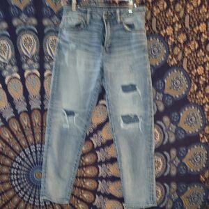 AE Mens Baggy Jean Sz 29 X 30